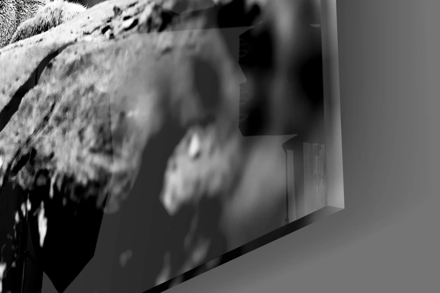 Puma Glass Wall Art - Image 7